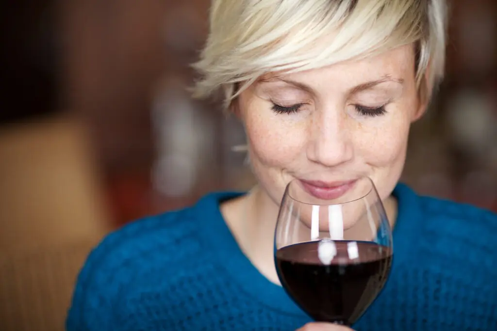 Burgundy day tours from Paris: Taste delicious Burgundy wines