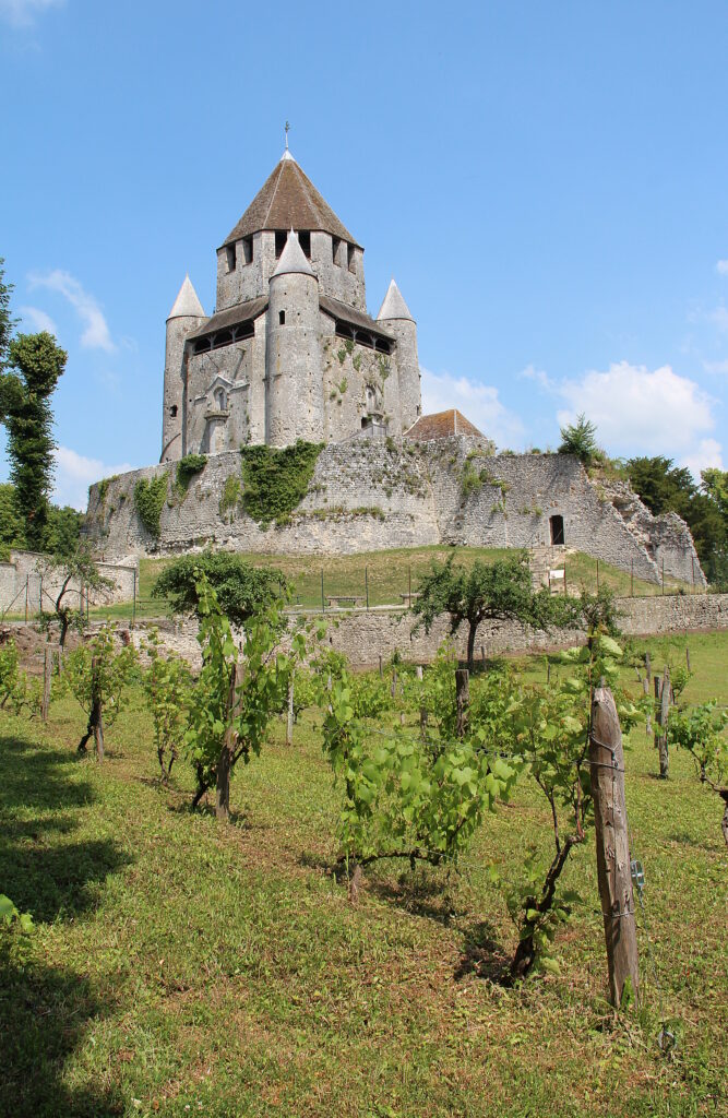 The Tour Cesar keep of Provins with its four corner turrets seen from the vineyard below